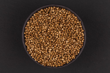 Similar image 11834146