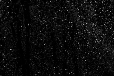 Similar image 11834151