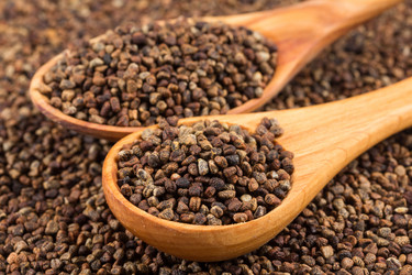 Similar image 11834227