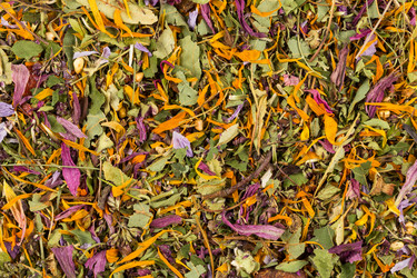 Similar image 11833965