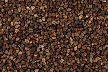 Similar image 11833982