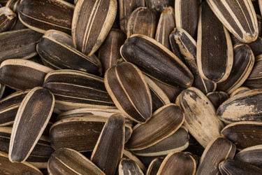 Similar image 11834067