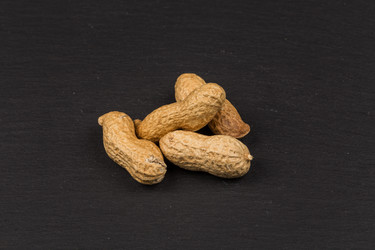 Similar image 11834074