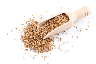 Similar image 11834099