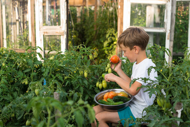 Similar image 11783648