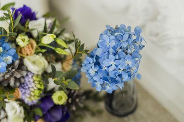 Similar image 11795547