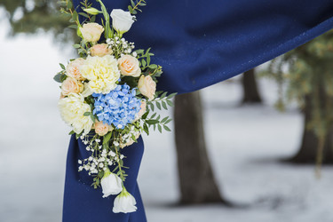 Similar image 11795578