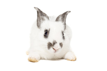 Similar image 11795504