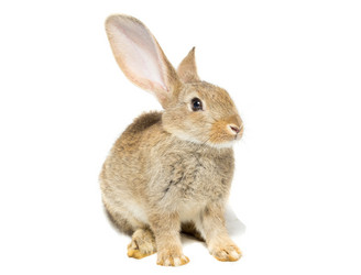 Similar image 11795505