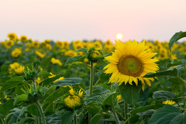 Similar image 11795506