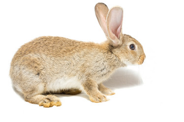 Similar image 11795507