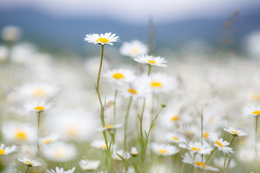 Similar image 11794177