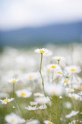 Similar image 11794179