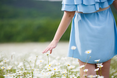 Similar image 11794204