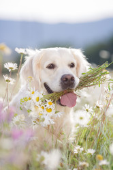 Similar image 11794383