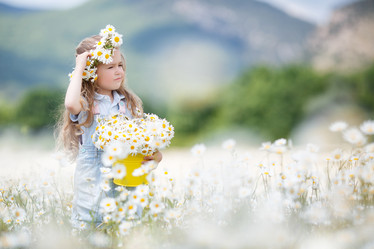 Similar image 11794405