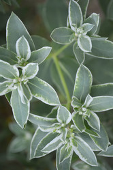 Similar image 11789617