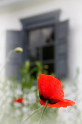 Similar image 11802823