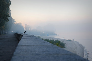 Similar image 11789619