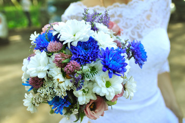 Similar image 11795472