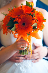 Similar image 11796817