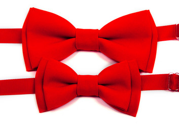 Similar image 11796887