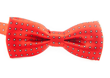 Similar image 11796891