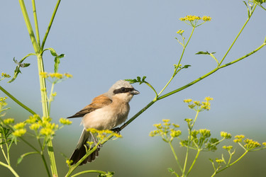 Similar image 11796829