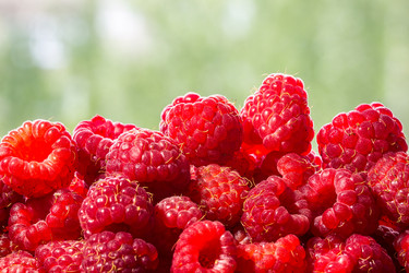 Similar image 11790170