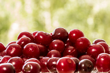 Similar image 11790182