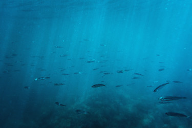 Similar image 11803846