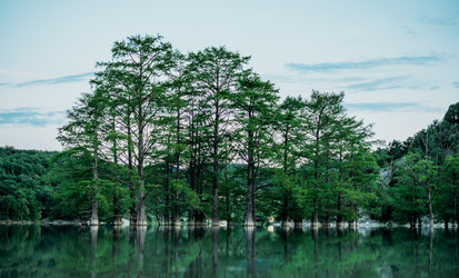 Similar image 11803922