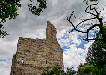 Similar image 11790988