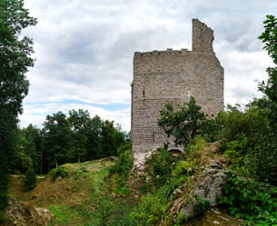 Similar image 11790989