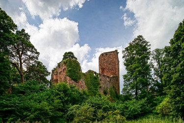 Similar image 11790991