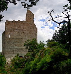 Similar image 11790992