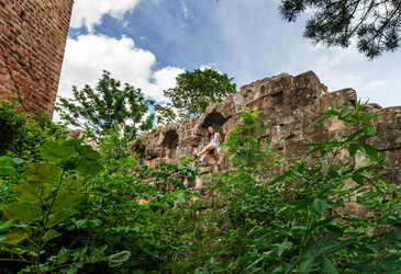 Similar image 11791005