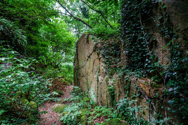 Similar image 11791019