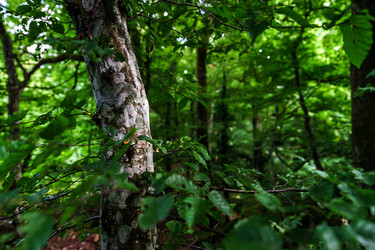 Similar image 11791021