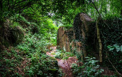 Similar image 11791022