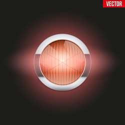 Similar image 11827178