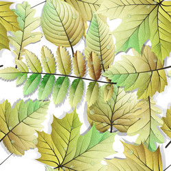 Similar image 11808848