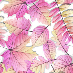 Similar image 11808849