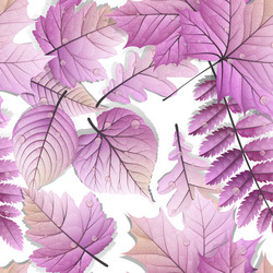 Similar image 11808850