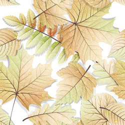 Similar image 11808863