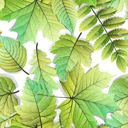 Similar image 11808865