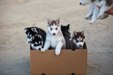 Similar image 11791525