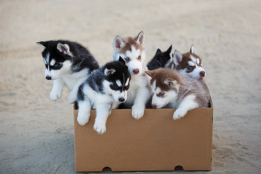 Similar image 11791526