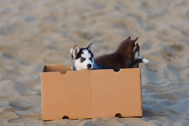 Similar image 11791527