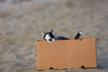 Similar image 11791528